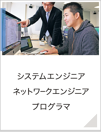 システムエンジニア，ネットワークエンジニア，プログラマ