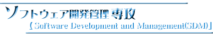 IT logo