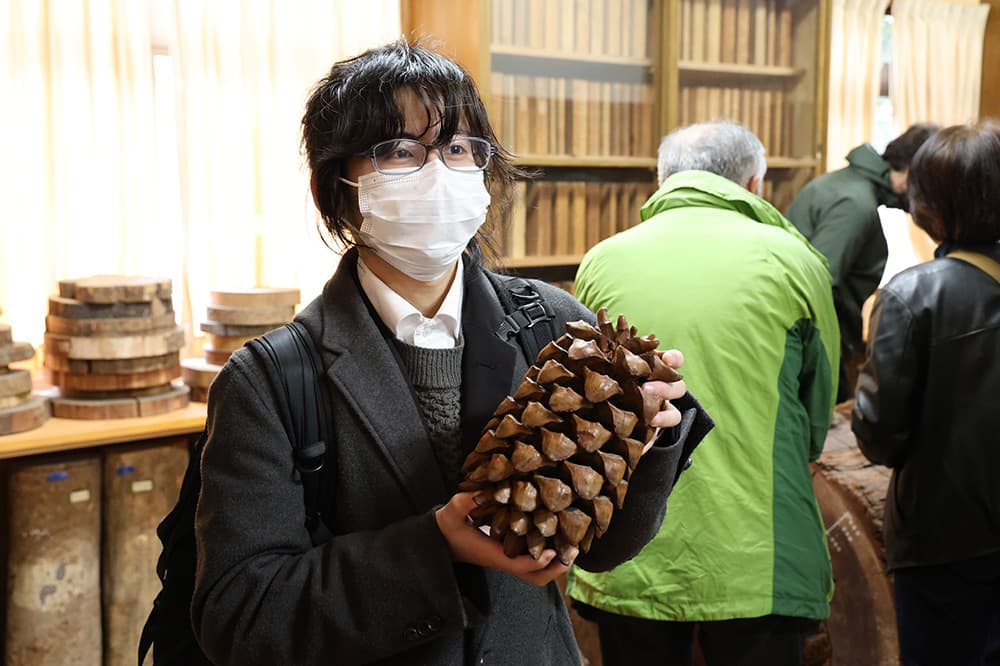 こんなに大きな松ぼっくりもありました